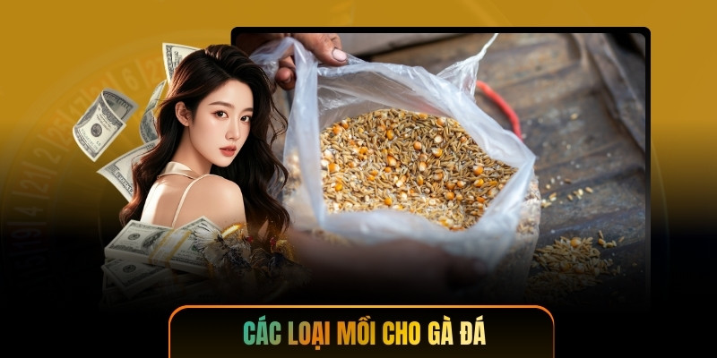 Các Loại Mồi Cho Gà Đá - Bí Quyết Từ Cao Thủ