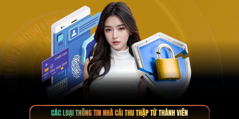 Các loại thông tin nhà cái thu thập từ thành viên