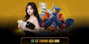 Đá Gà Thomo Cựa Dao - Trận Chiến Gay Cấn Mỗi Hiệp