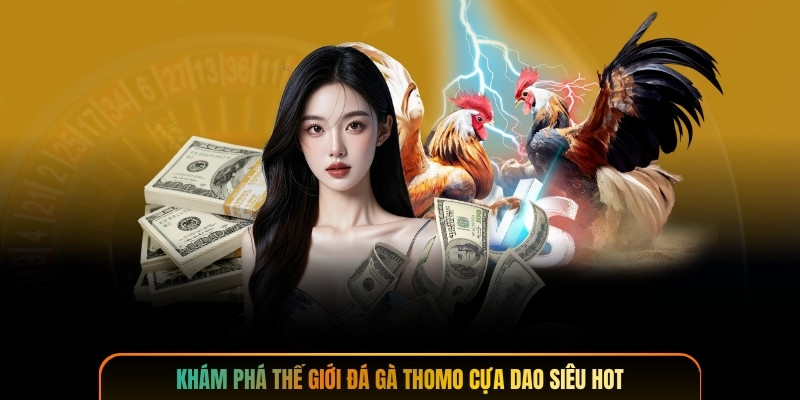 Khám phá thế giới đá gà thomo cựa dao siêu hot