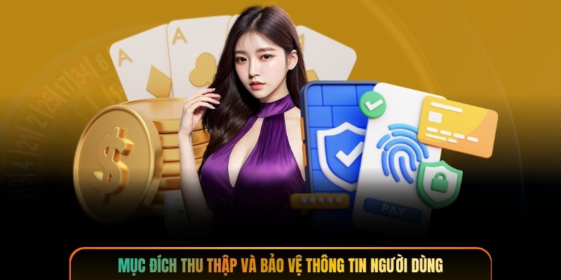 Mục đích thu thập và bảo vệ thông tin người dùng
