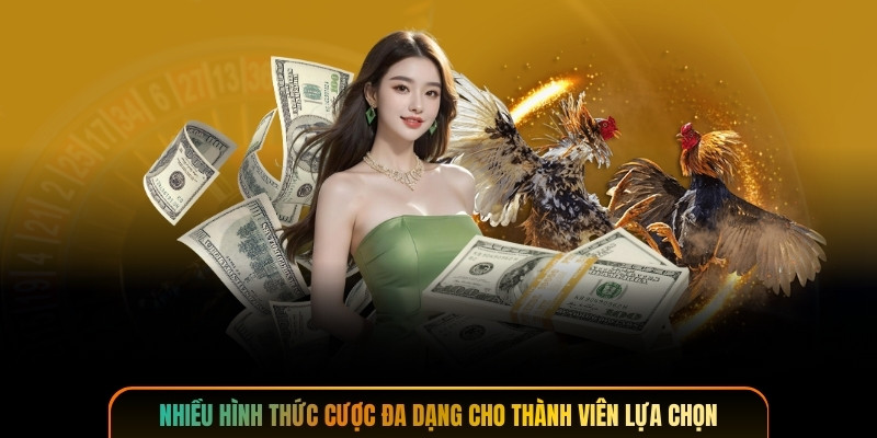 Nhiều hình thức cược đa dạng cho thành viên lựa chọn