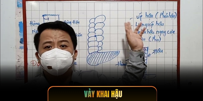 Vảy Khai Hậu - Bí Mật Đòn Hiểm Của Chiến Kê